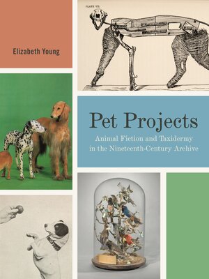 cover image of Pet Projects